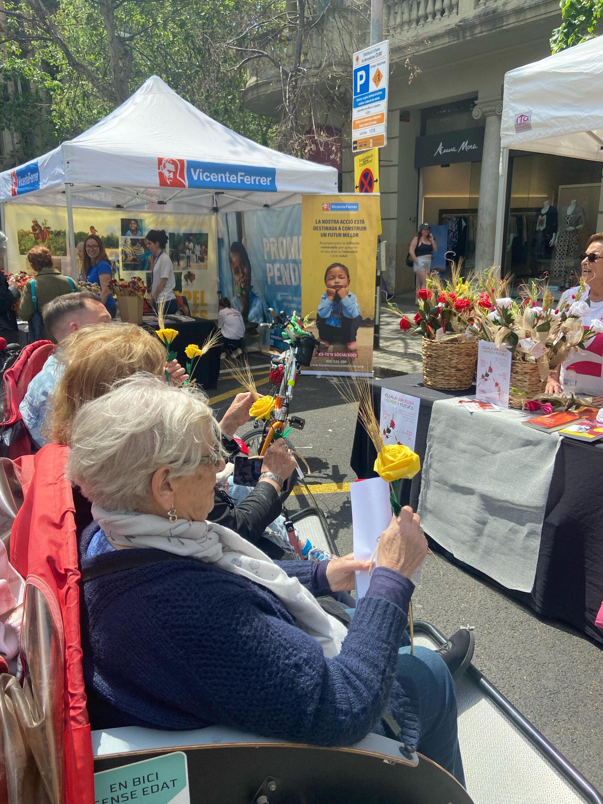 Diversos capítols d’#EBSECatalunya celebren Sant Jordi: el dret a sentir el perfum de les roses